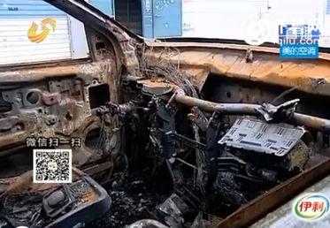 国产铁皮的视频,匠心独运，铸就民族品牌新篇章