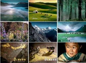 国产牛奶广告视频大全在线观看,尽享奶香四溢的美好时光