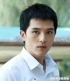 国产帅男同志视频网站